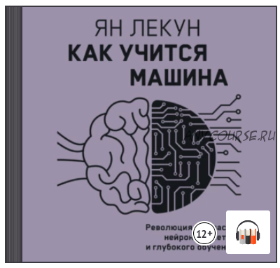 [Аудиокнига] Как учится машина. Революция в области нейронных сетей и глубокого обучения (Ян Лекун)