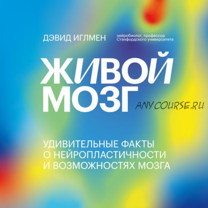 [Аудиокнига] Живой мозг. Удивительные факты о нейропластичности и возможностях мозга (Дэвид Иглмен)