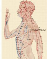12 минут в день, которые приносят здоровье и красоту! (Альберт Романов)