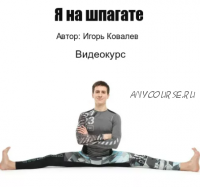 Я на шпагате (Игорь Ковалев)