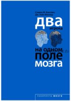 Два игрока на одном поле мозга (Стивен Косслин)