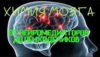 Химия мозга: от нейромедиаторов до психоделиков, 2018 (Вячеслав Дубынин)