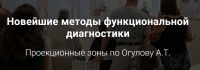 Новейшие методы функциональной диагностики. Проекционные зоны, Самостоятельный (Александр Огулов)