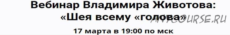 Шея всему голова. Вебинар (Владимир Животов)