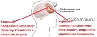 Стресс. Осознанная стрессоустойчивость (Андрей Беловешкин)