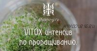 VITOX интенсив по проращиванию, 2017 (Гаврила и Татьяна Ждановы)