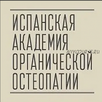 [Испанская школа остеопатии] Стопа, часть 1 (Антонио Гонсалес)