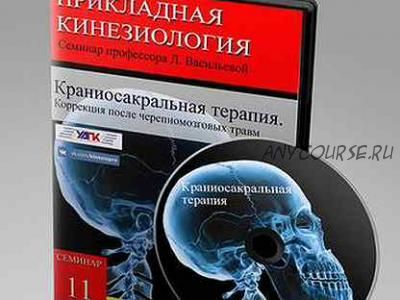 [УАПК] Краниосакральная терапия. Коррекция после черепно-мозговых травм (Людмила Васильева)