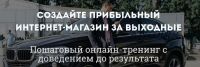 Создайте прибыльный интернет-магазин за выходные (Олег Карнаух, Алексей Дементьев)