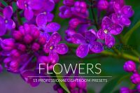 [CreativeMarket] Flowers Lr Presets (PandoraDreams)