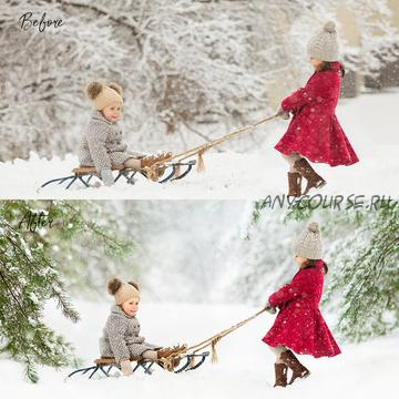 [Editingresources] Нежные зимние пресеты - ACR Winter Wonderland Presets (Lilia Alvarado)