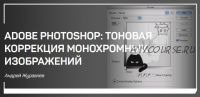 [liveclasses] Adobe Photoshop: тоновая коррекция монохромных изображений (Андрей Журавлев)