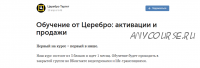 [Церебро Таргет] Активности и продажи (Феликс Зинатуллин)