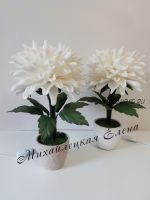 Хризантема в кашпо (Елена Михайлецкая)