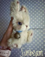 Кролик / Зайка (Кристина Макурина)