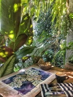 Тропики из путешествий (Дельнара Эль)