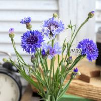 Васильки из холодного фарфора (tanyaflower)