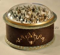 Зимний городок (Вероника Кисель)