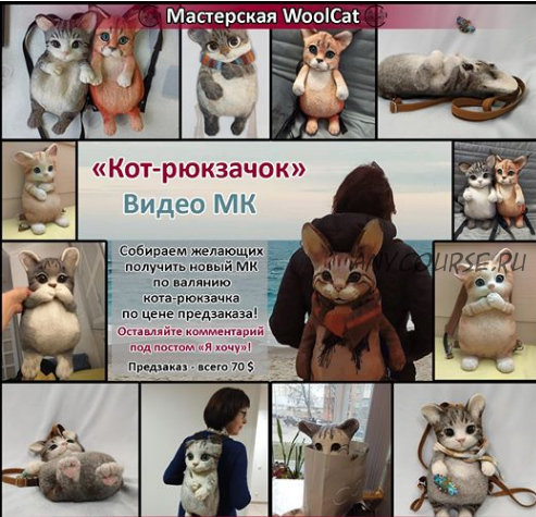 [WoolCat] Кот-рюкзачок