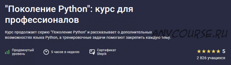 [Stepik] «Поколение Python»: курс для профессионалов (Тимур Гуев, Артур Харисов)