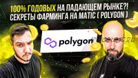 [Polygon] 100% годовых на падающем рынке?! Секреты фарминга на Matic