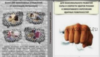 Упражнения для максимального развития силы и скорости ударов руками (Александр Литвиненко)