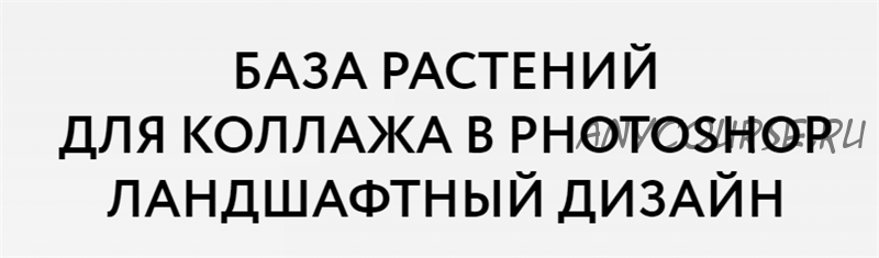 [Школа ландшафтного дизайна] База растений для коллажа в Photoshop (Оксана Хлебородова)