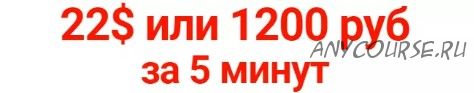 22 доллара за 5 минут (Андрей Веб)