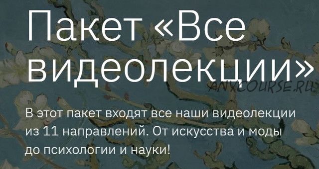 [Правое полушарие интроверта] Пакет Все видеолекции (Алена Репина, Никита Добряков)