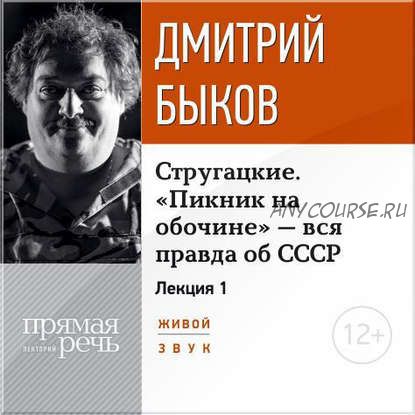 [Аудиокнига] Стругацкие. «Пикник на обочине» - вся правда об СССР. Часть 1 (Дмитрий Быков)