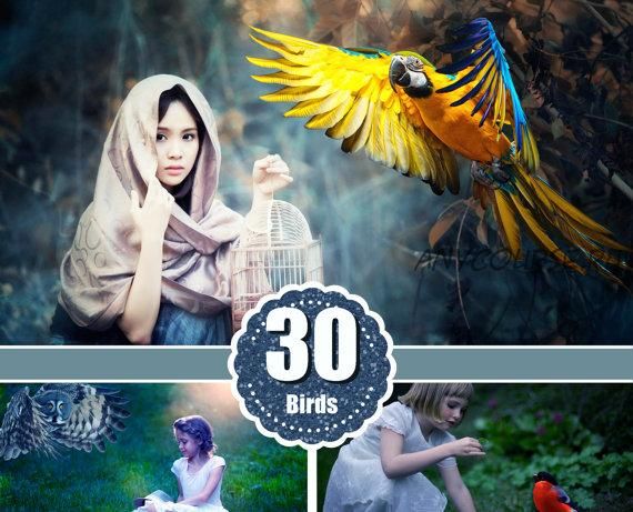 Фотоналожения Birds Overlays (MrOverlay)