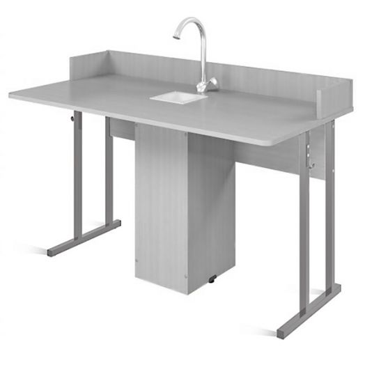 ST-0162б Стол ученический 2-местный для кабинета химии (серый пластик) серый каркас