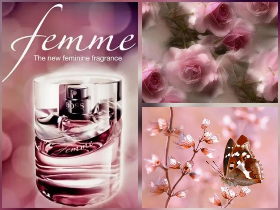 ~Femme (w) ~