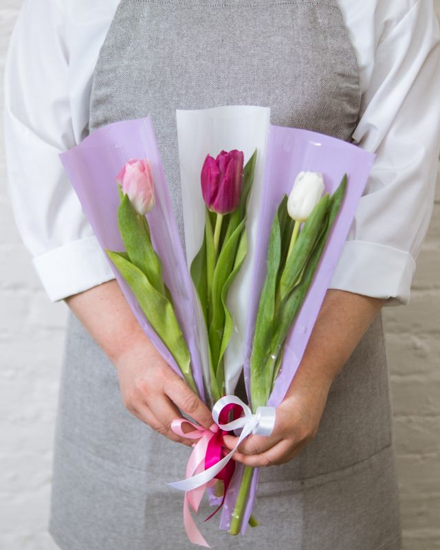 Тюльпан в упаковке