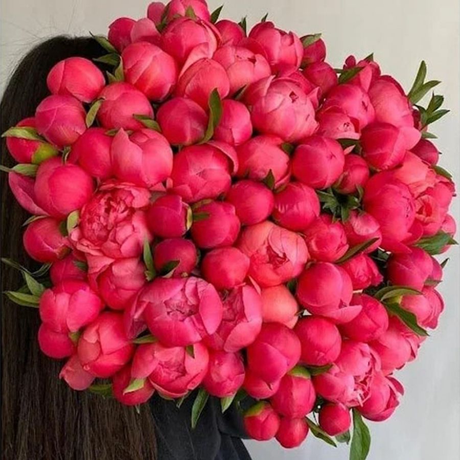 51 Коралловый Пион