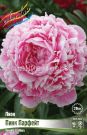 Pion-Pink-Parfejt-2-3n-1-sht