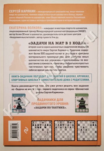 Книга 2-ая - Шахматная школа С. Карякина
