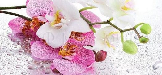 Кухня "Орхидея Сиреневая" 1,6; 1,7; 1,8 м (Фотопечать)