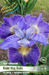 Iris-sibirskij-Kejp-Kod-Bojz-I-1-sht