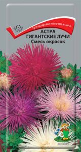 Семена Астра Гигантские лучи Смесь окрасок 0,3гр. Комплект из 3 пакетиков