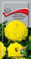 Семена Бархатцы прямостоячие Спун лимонные 0,1гр. Комплект из 3 пакетиков