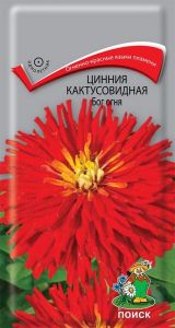 Семена Цинния кактусовидная Бог огня 0,4 гр