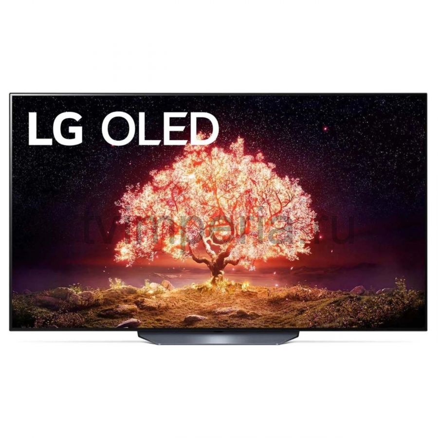 Телевизор LG OLED65B1RLA