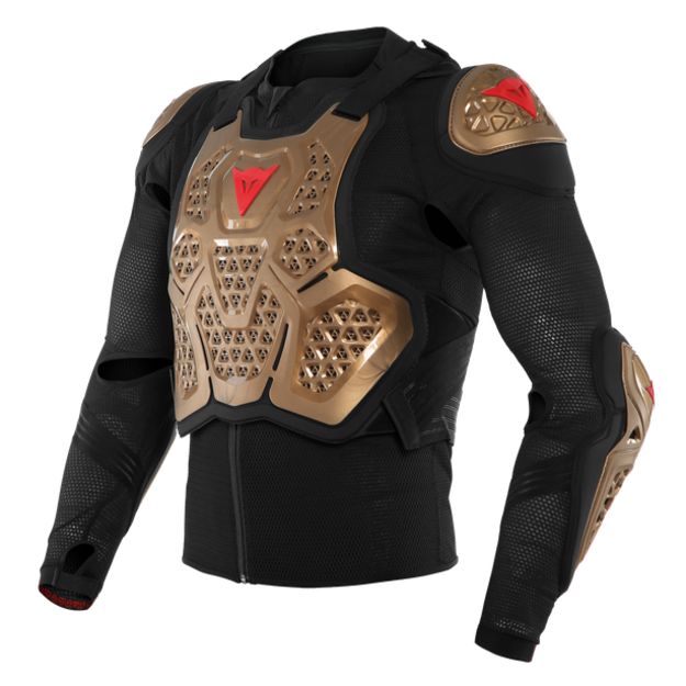 Защита тела Dainese MX2