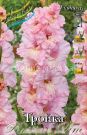 Gladiolus-Trojka-10-12-3-sht