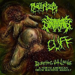 BURSTING WITH LARVAE - Phalloplasty, Cuff, Seraphim Defloration