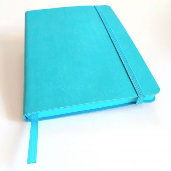 Ежедневник Shady голубой