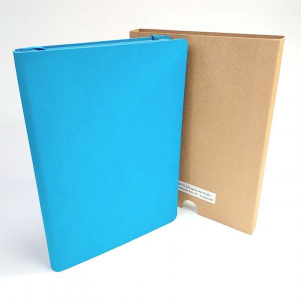 Ежедневник Shady лазурный