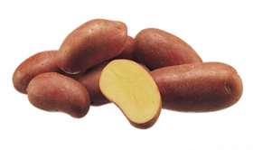 Картофель сорта Эсми