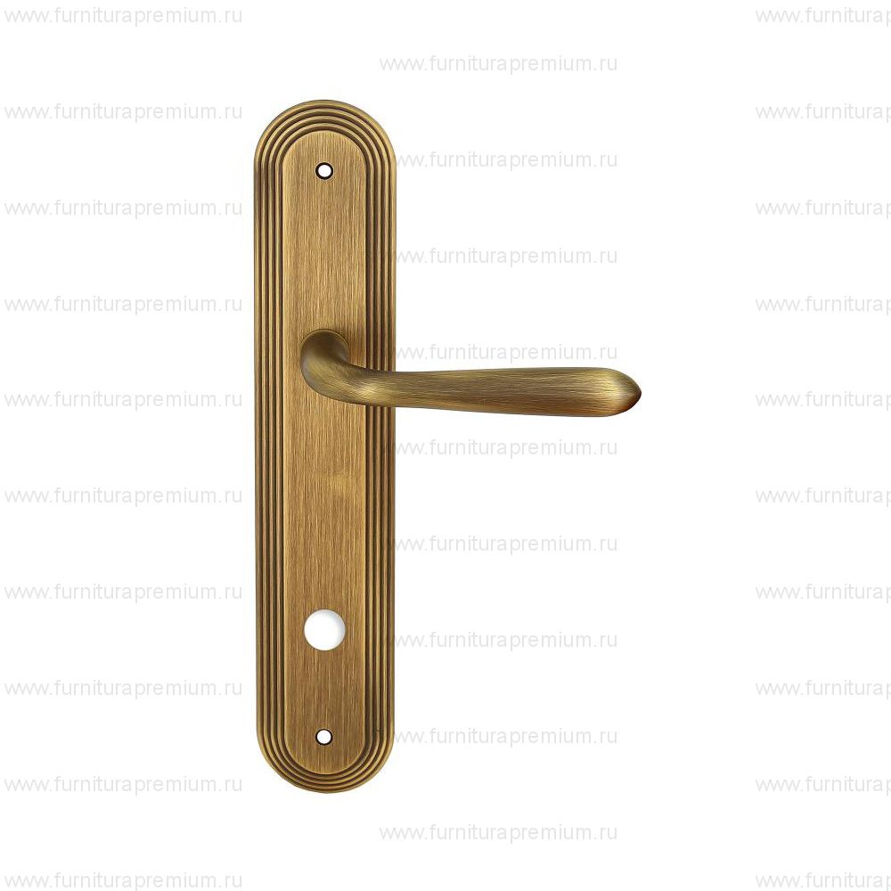 Ручка на планке Extreza Aldo 331 WC PL05